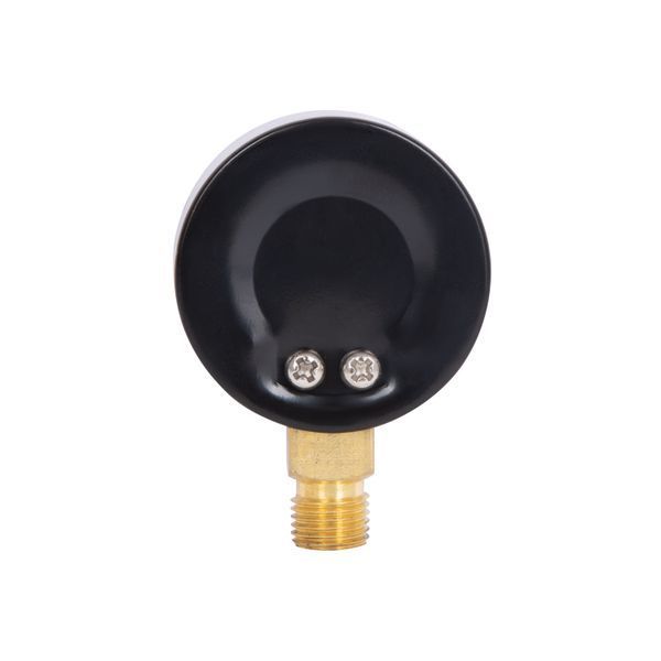 Манометр для води Thermo Alliance 1/4" 0&ndash;4 бар, &Oslash;50 мм, радіальний (нижнє підключення), SD1704B SD00006077 фото