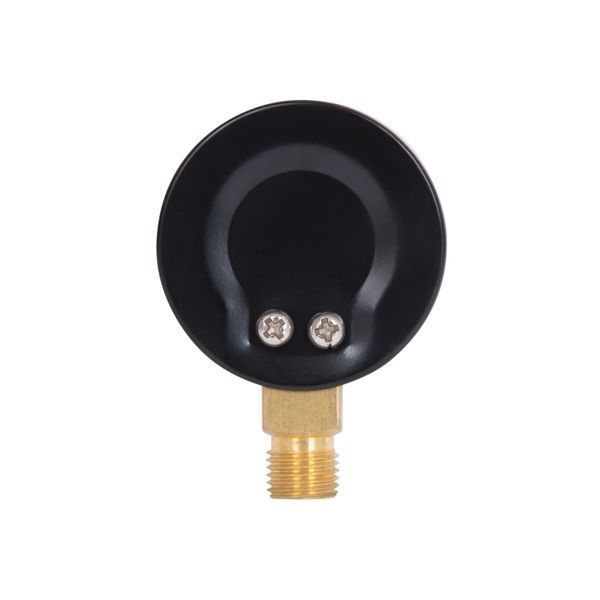 Манометр для води Thermo Alliance 1/4" 0&ndash;6 бар, &Oslash;50 мм, радіальний (нижнє підключення), SD1706B SD00006081 фото