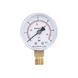 Манометр для води Thermo Alliance 1/4" 0&ndash;6 бар, &Oslash;50 мм, радіальний (нижнє підключення), SD1706B SD00006081 фото 1