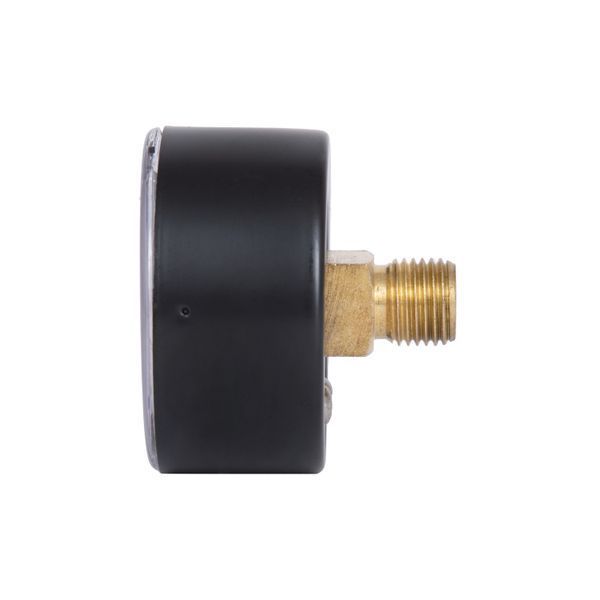 Манометр для води Thermo Alliance 1/4" 0&ndash;6 бар, &Oslash;50 мм, аксіальний (заднє підключення), SD1716B SD00021359 фото