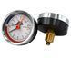 Термоманометр Thermo Alliance аксіальний (заднє підключення) 0&ndash;6 бар / 0&ndash;120 &deg;C, 1/2", &Oslash;80 мм SD00021364 фото 1